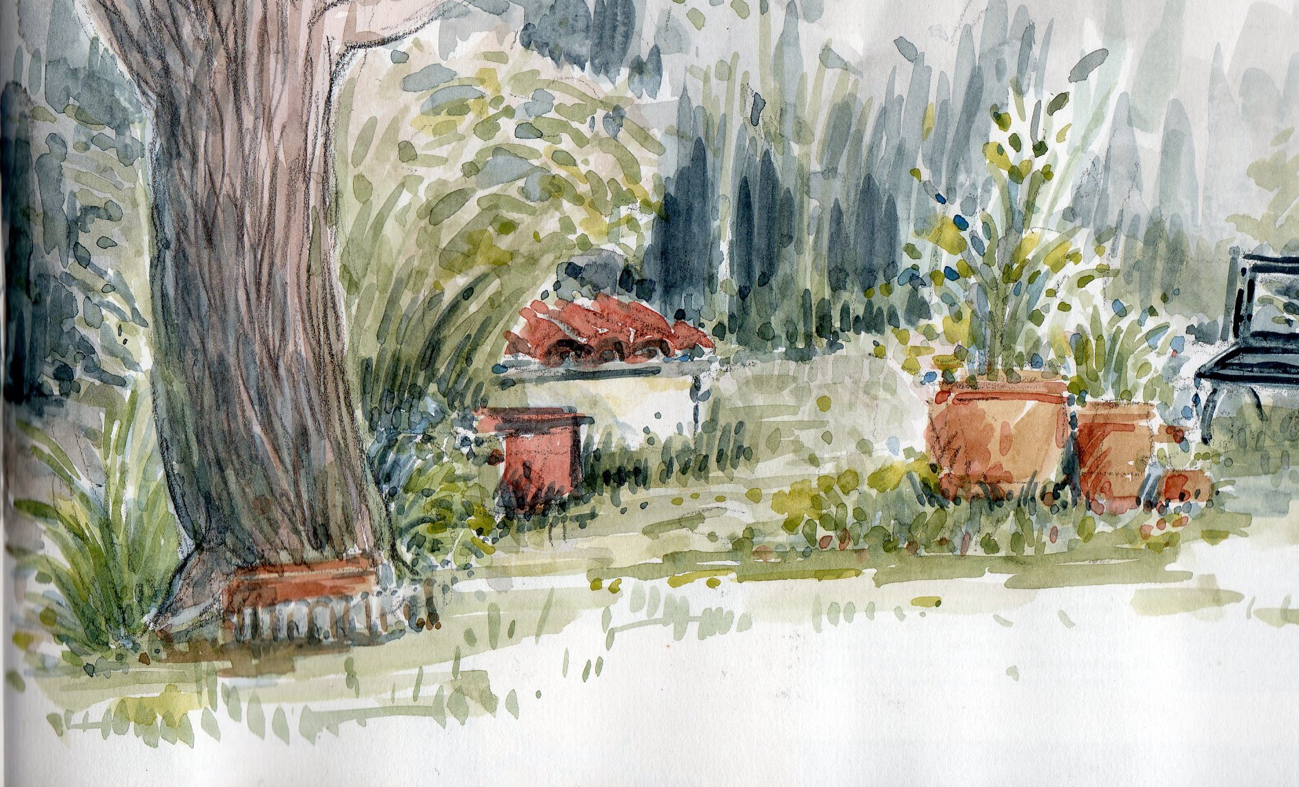 EN PROVENCE , DANS LE JARDIN DE CLAIRE