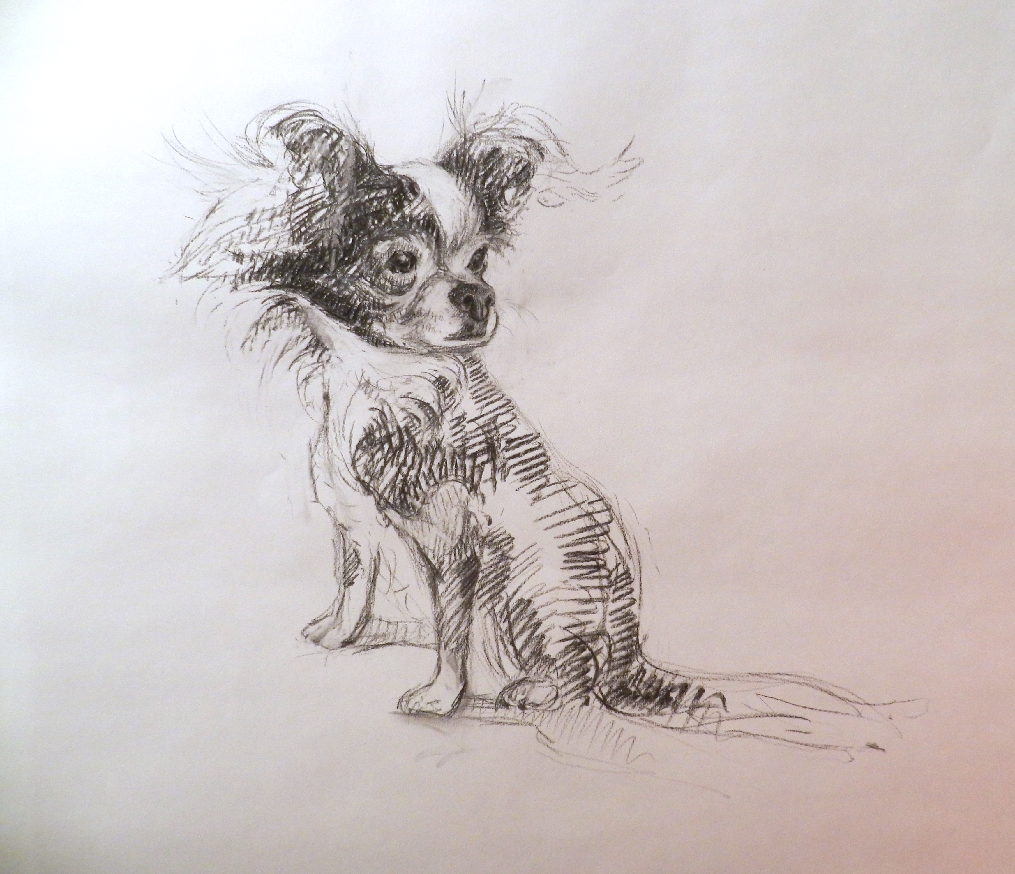 CHIWAWA
